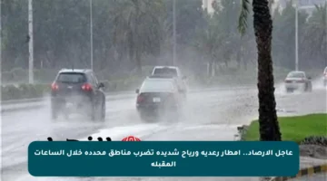 عاجل الأرصاد.. أمطار رعدية ورياح شديدة تضرب مناطق محددة خلال الساعات المقبلة